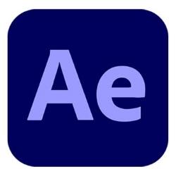 After Effects - Pro for enterprise 新購 (LV1,1-9)
