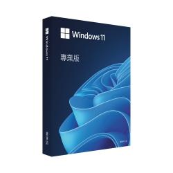 Windows 11 Professional 64位元 專業中文盒裝版(USB)