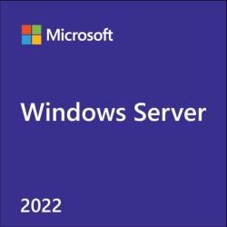 Windows Server 2022 中文隨機版 5 User CAL*限貨