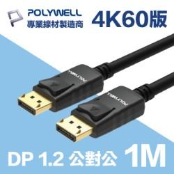 DP 1.2 傳輸線 公對公 1M