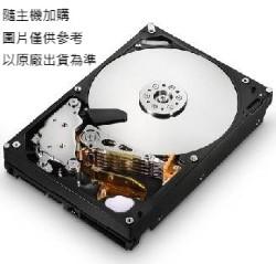 1TB SAS 7200rpm (企業級)