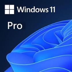 Win 11 Pro 64Bit 英文隨機版(美版)