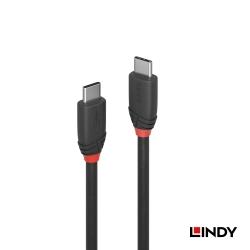 Black USB 3.2 Gen 2x2 Type-C 公 to 公 傳輸線 0.5m