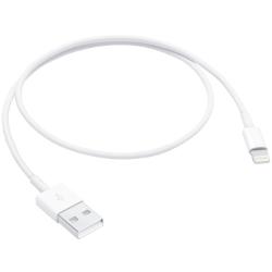 LIGHTNING TO USB CABLE(0.5 公尺)
