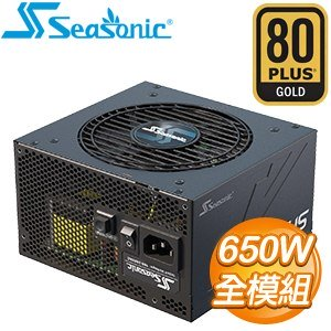 Focus GX-750 750W 金牌 全模組