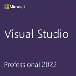 Visual Studio Professional 2022